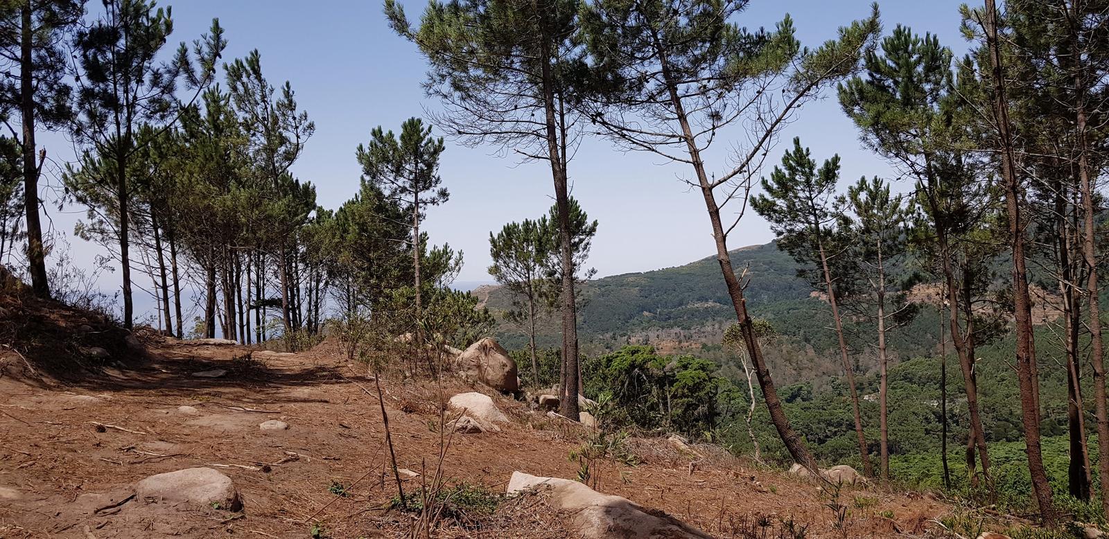 Pedra Amarela Viewpoint